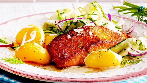 Honig-Senf-Lachs mit cremigem Gurkensalat Rezept - Foto: House of Food / Bauer Food Experts KG