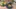 Video Platzhalter