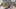 Video Platzhalter