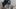 Video Platzhalter Video Platzhalter