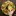 Video Platzhalter