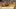 Video Platzhalter