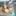 Video Platzhalter Video Platzhalter