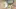 Video Platzhalter