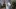 Video Platzhalter Video Platzhalter