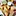 Video Platzhalter Video Platzhalter