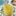 Video Platzhalter Video Platzhalter
