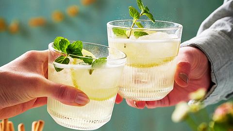 Zwei Hände prosten sich zu mit Ingwer-Spritz-Gläser mit Zitronenscheibe und Minze dekoriert zu - Foto: House of Food / Bauer Food Experts KG