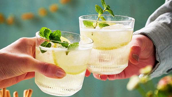 Zwei Hände prosten sich zu mit Ingwer-Spritz-Gläser mit Zitronenscheibe und Minze dekoriert zu - Foto: House of Food / Bauer Food Experts KG