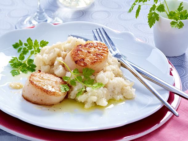 Jakobsmuscheln auf Selleriebett Rezept