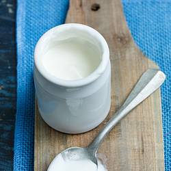 Vollmilch-Joghurt - Foto: House of Food / Bauer Food Experts KG