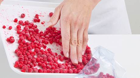 Johannisbeeren einfrieren - Foto: Food & Foto Experts