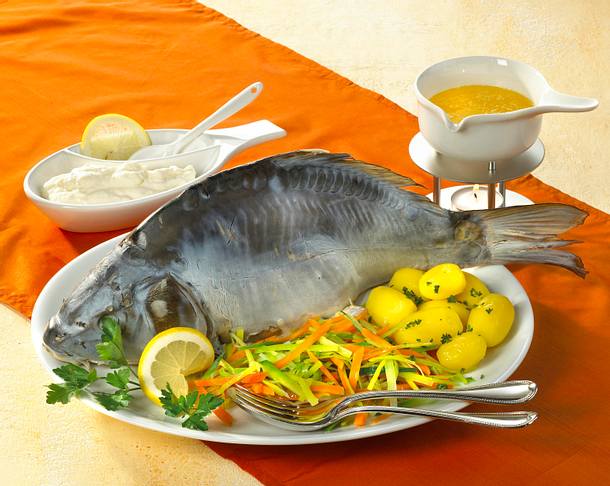 Karpfen blau Rezept
