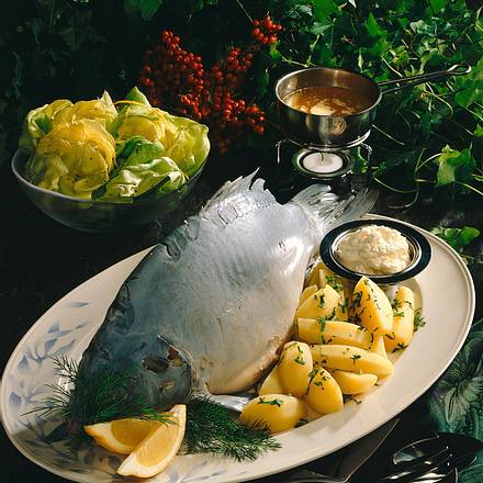 Karpfen blau Rezept