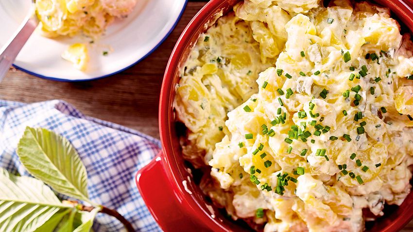 Kartoffel-Gurken-Salat mit Saure-Sahne-Soße Rezept - Foto: House of Food / Bauer Food Experts KG