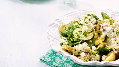 Kartoffel-Salat mit leichtem Gurkendressing und Hüttenkäse-Zaziki Rezept - Foto: House of Food / Bauer Food Experts KG