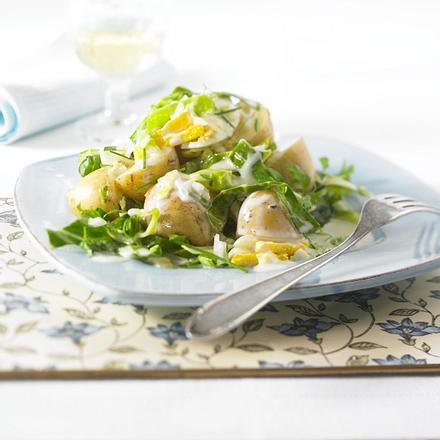 Kartoffel-Spitzkohlsalat Rezept Kartoffel-Spitzkohlsalat Rezept
