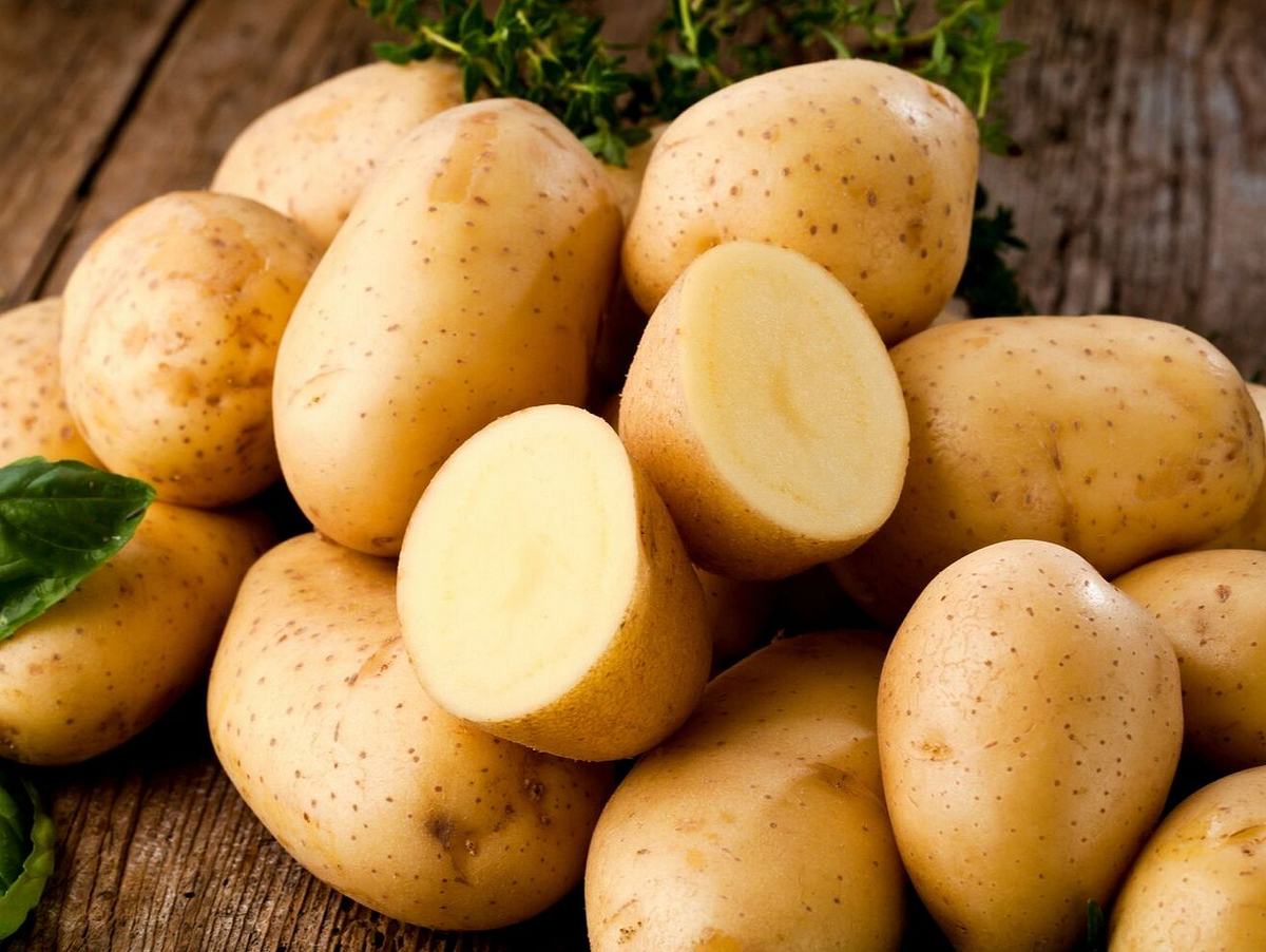Kartoffelschälmaschine – die besten Helfer im Vergleich