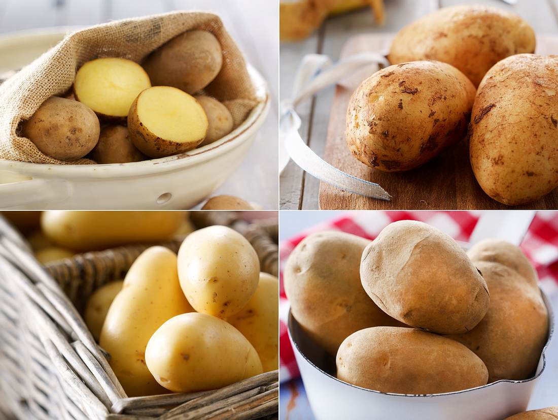 Festkochende Kartoffelsorte Kreuzwortratsel
