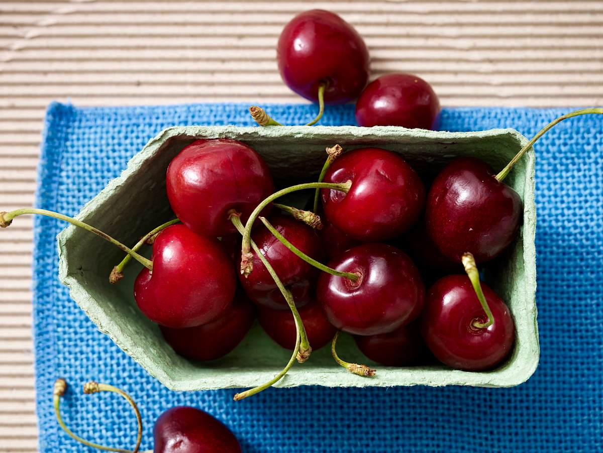 Kirsche - rotes Sommer-Früchtchen