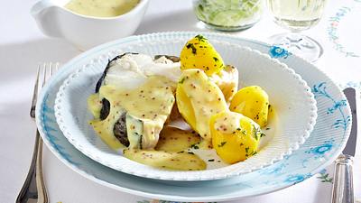 Kochfisch in Senfsoße mit Gurkensalat Rezept - Foto: House of Food / Bauer Food Experts KG