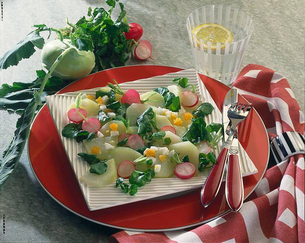 Kohlrabi-Ei-Salat Rezept Kohlrabi-Ei-Salat Rezept