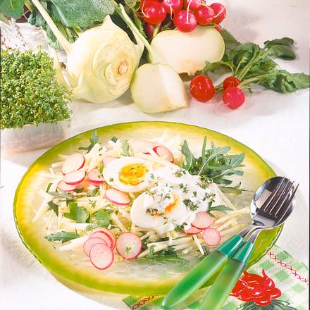 Kohlrabi-Salat mit Kresse-Schmand Rezept Kohlrabi-Salat mit Kresse-Schmand Rezept
