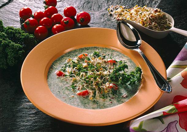 Kräuter-Joghurt-Suppe Rezept Kräuter-Joghurt-Suppe Rezept