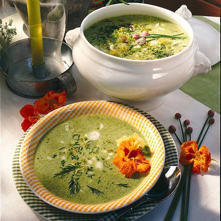 Kräuter-Suppe Rezept
