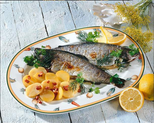 Kräuterforelle Rezept Kräuterforelle Rezept