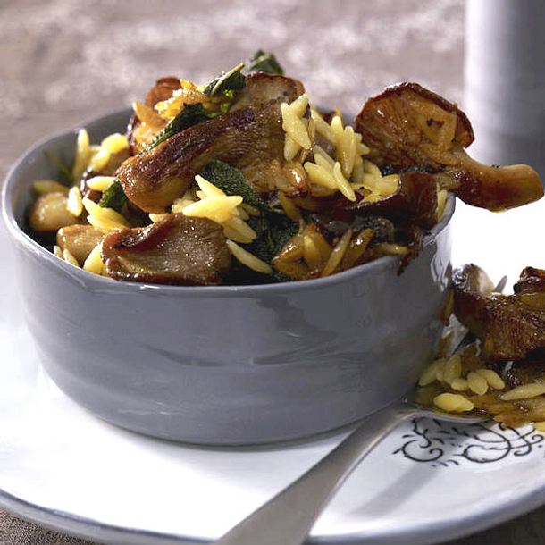 Kräuterseitlinge und Mininudeln in Weißwein Rezept Kräuterseitlinge und Mininudeln in Weißwein Rezept