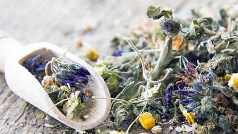 Kräutertee - das aromatische Aufgussgetränk - Foto: © Sonja Birkelbach - Fotolia.com