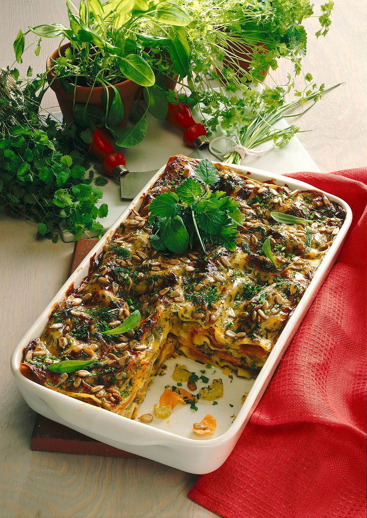 Kräuter-Gemüse-Lasagne Rezept