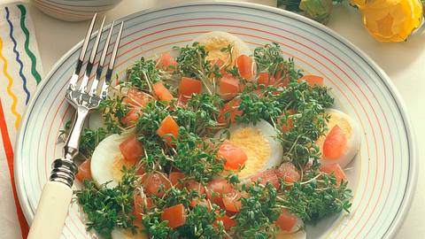 Kressesalat Rezept - Foto: Klemme
