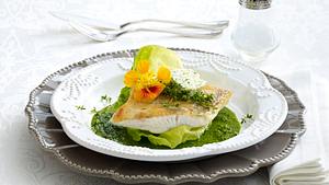 Krosser Zander auf Kopfsalat-Püree Rezept - Foto: House of Food / Bauer Food Experts KG