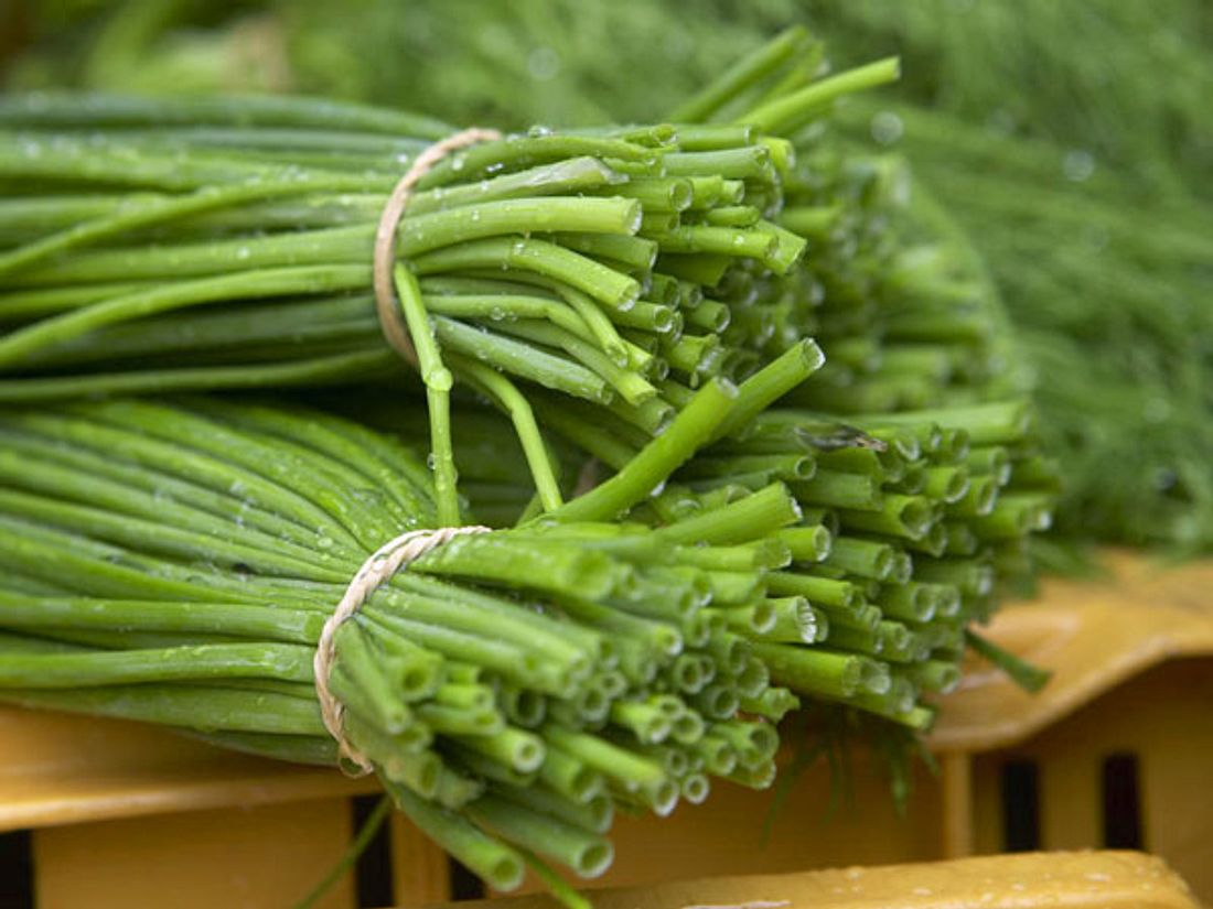 Beim Küchenkräuter einkaufen auf Frische achten