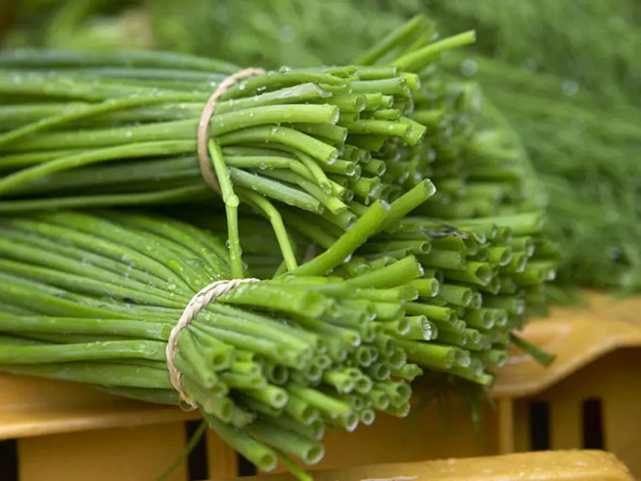 Beim Küchenkräuter einkaufen auf Frische achten
