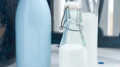 Kuhmilch -  tierisch vielseitig!