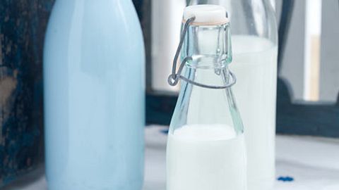 Kuhmilch -  tierisch vielseitig!