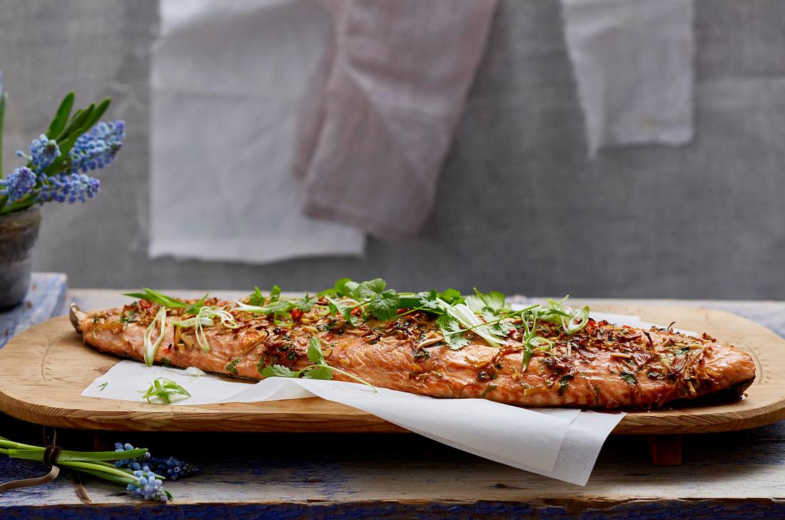 Lachs mit Ingwer-Koriander-Marinade mit Reis und grünem Spargel Rezept ...