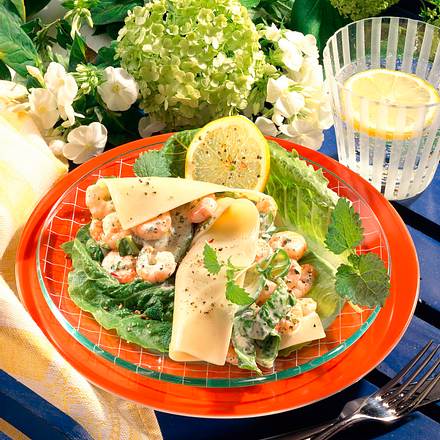 Lasagne mit Salatfüllung Rezept Lasagne mit Salatfüllung Rezept