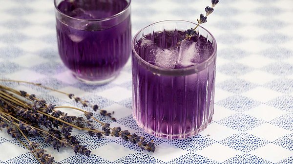 2 Gläser gefüllt mit lilafarbenem Lavendel-Spritz, Eiswürfeln und einem Zweig Lavendel. - Foto: LECKER.de