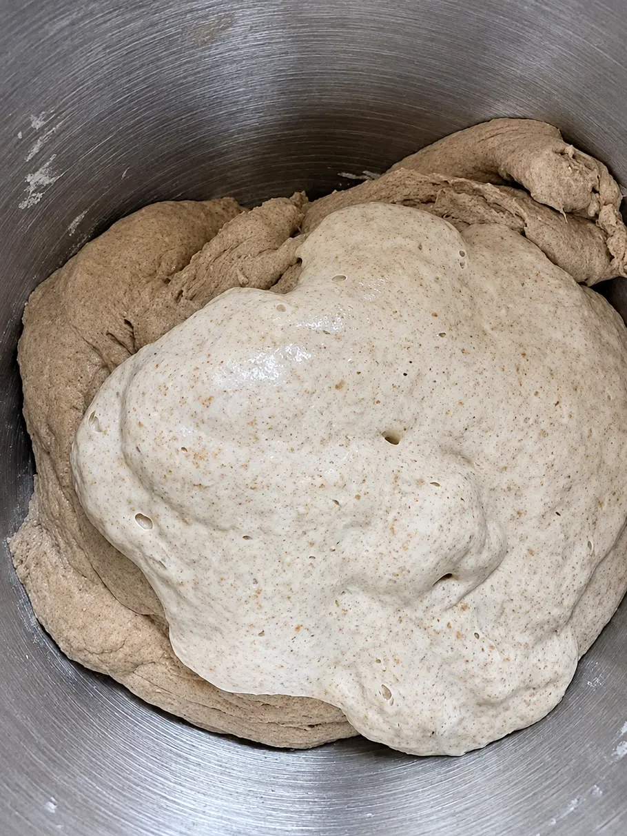 Leaven in Autolyse mischen In einer Metallschüssel liegt brauner Teig, auf dem eine hellere, glänzende Teigmasse mit kleinen Blasen verteilt ist.
