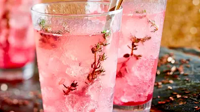 Leicht herber Cranberry Mezcal Rezept - Foto: LECKER @ Bauer Media Group