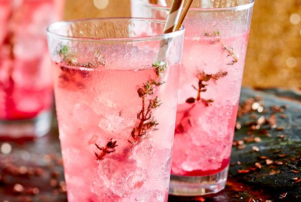 Leicht herber Cranberry Mezcal Rezept