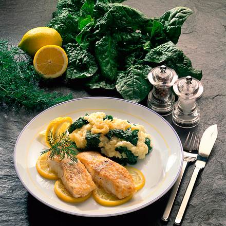Lengfischfilet mit Spinat-Kartoffelpüree Rezept