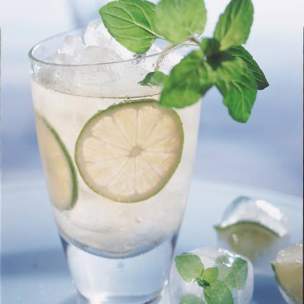 Limetten-Minz-Eistee Rezept