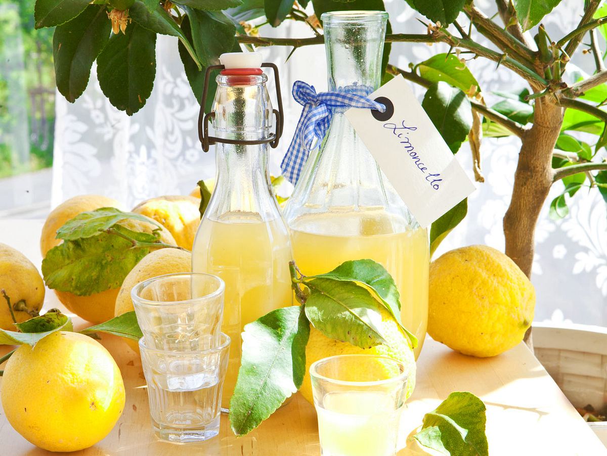 Limoncello selber machen