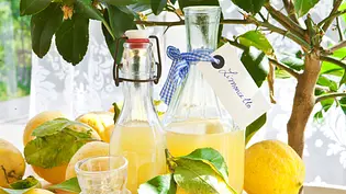 Limoncello selber machen - Foto: LECKER @ Bauer Media Group Limoncello selber machen - Foto: LECKER @ Bauer Media Group