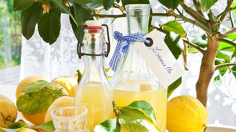 Limoncello selber machen - Foto: House of Food / Bauer Food Experts KG